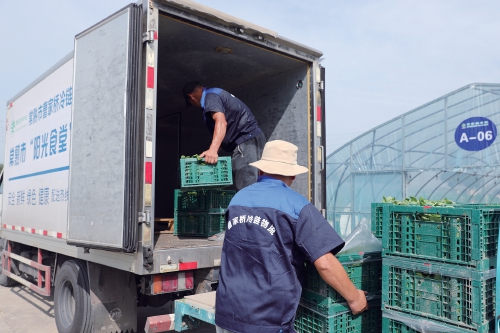 补齐物流建设短板　让农产品卖上好价钱